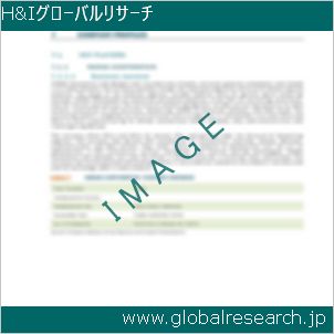 グローバルリサーチ調査レポートのイメージ